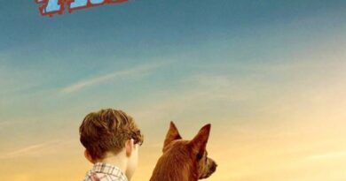 Poster for the movie "Red Dog: True Blue"