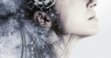 Poster for the movie "Amelia 2.0"