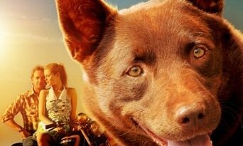Poster for the movie "Red Dog"
