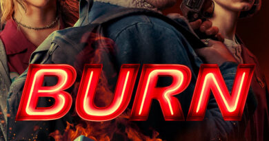 Poster for the movie "Burn"