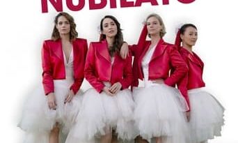 Poster for the movie "The Bachelorette Party"