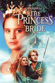 Poster for the movie "The Princess Bride"
